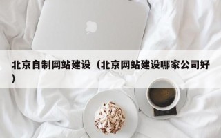 阳谷北京自制网站建设（北京网站建设哪家公司好）